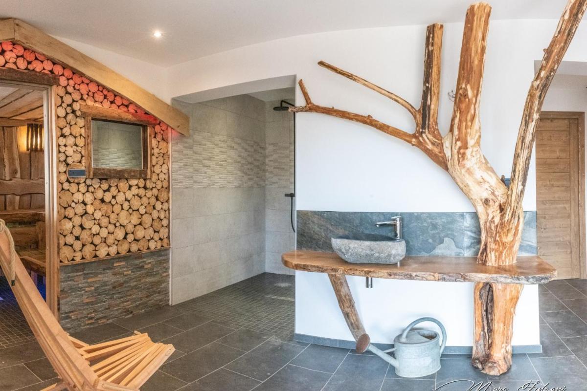 Willa Chalet Le Pourquoi Pas La Bresse Zewnętrze zdjęcie