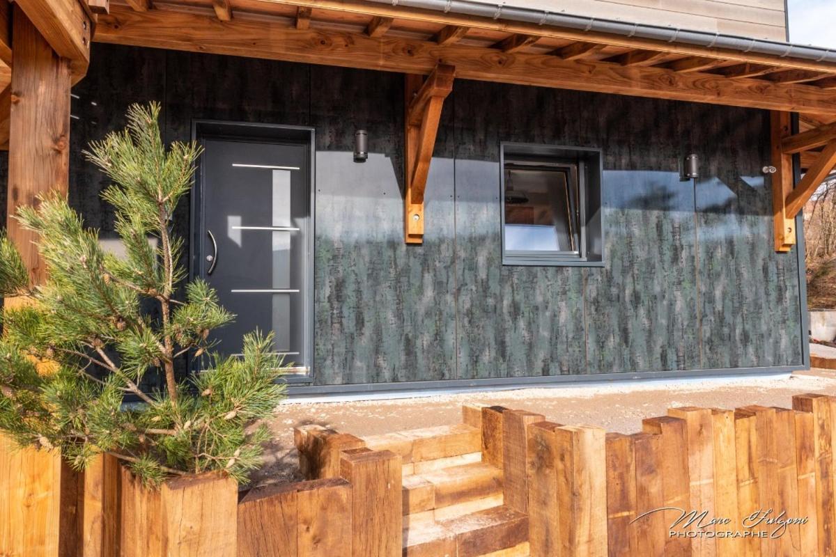 Willa Chalet Le Pourquoi Pas La Bresse Zewnętrze zdjęcie