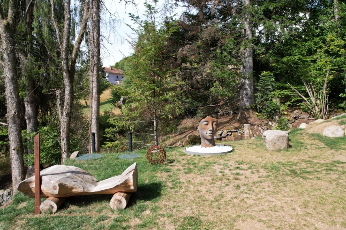 Willa Chalet Le Pourquoi Pas La Bresse Zewnętrze zdjęcie