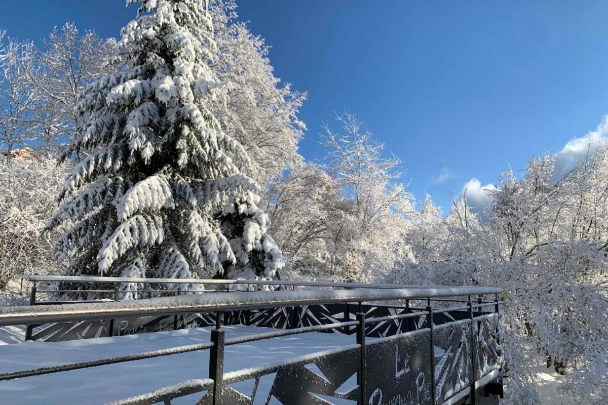 Willa Chalet Le Pourquoi Pas La Bresse Zewnętrze zdjęcie